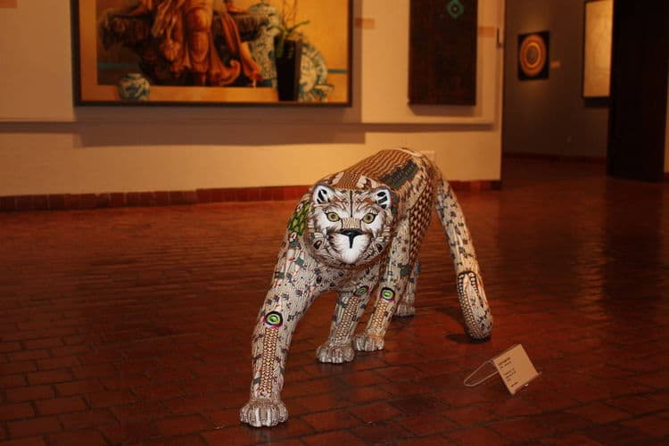 Big Cat - Hero Image