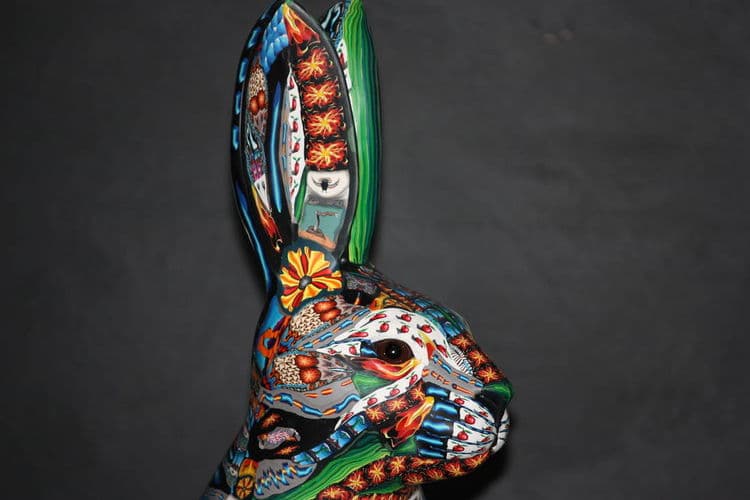 Hare - Thumbnail 2