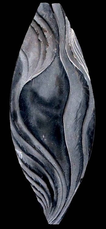 MAGNOLIA